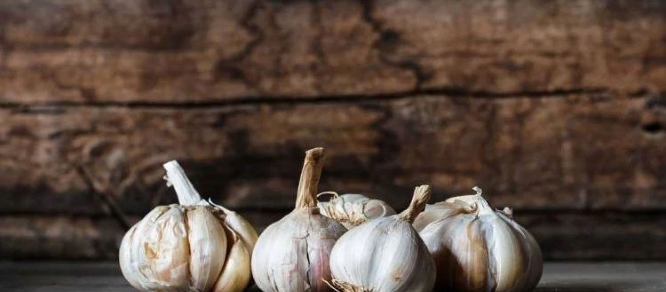 O τρόπος να τρως σκόρδο και να μην μυρίζεις (βίντεο)